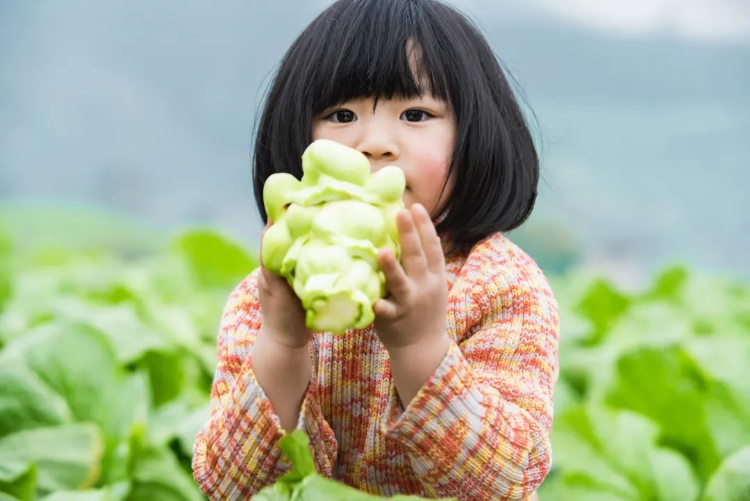 中國國家地理為《烏江》拍紀錄片，探索一包榨菜的前世今生