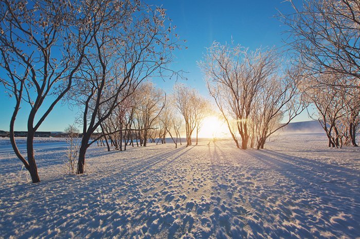 超實用的冬季雪景拍攝技巧