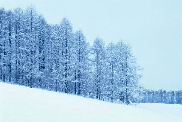 冰雪攝影技巧大盤點