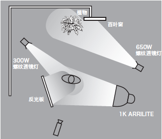 11種基礎打光方法，讓我們在打光的道路上走的更堅實！