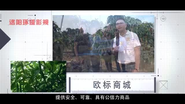 集團企業宣傳片出樣片 