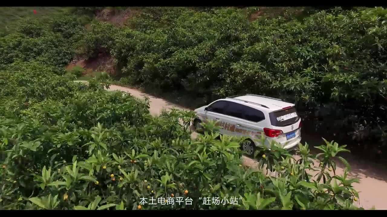 成都迦南映像-京東仁壽第三屆網上枇杷節